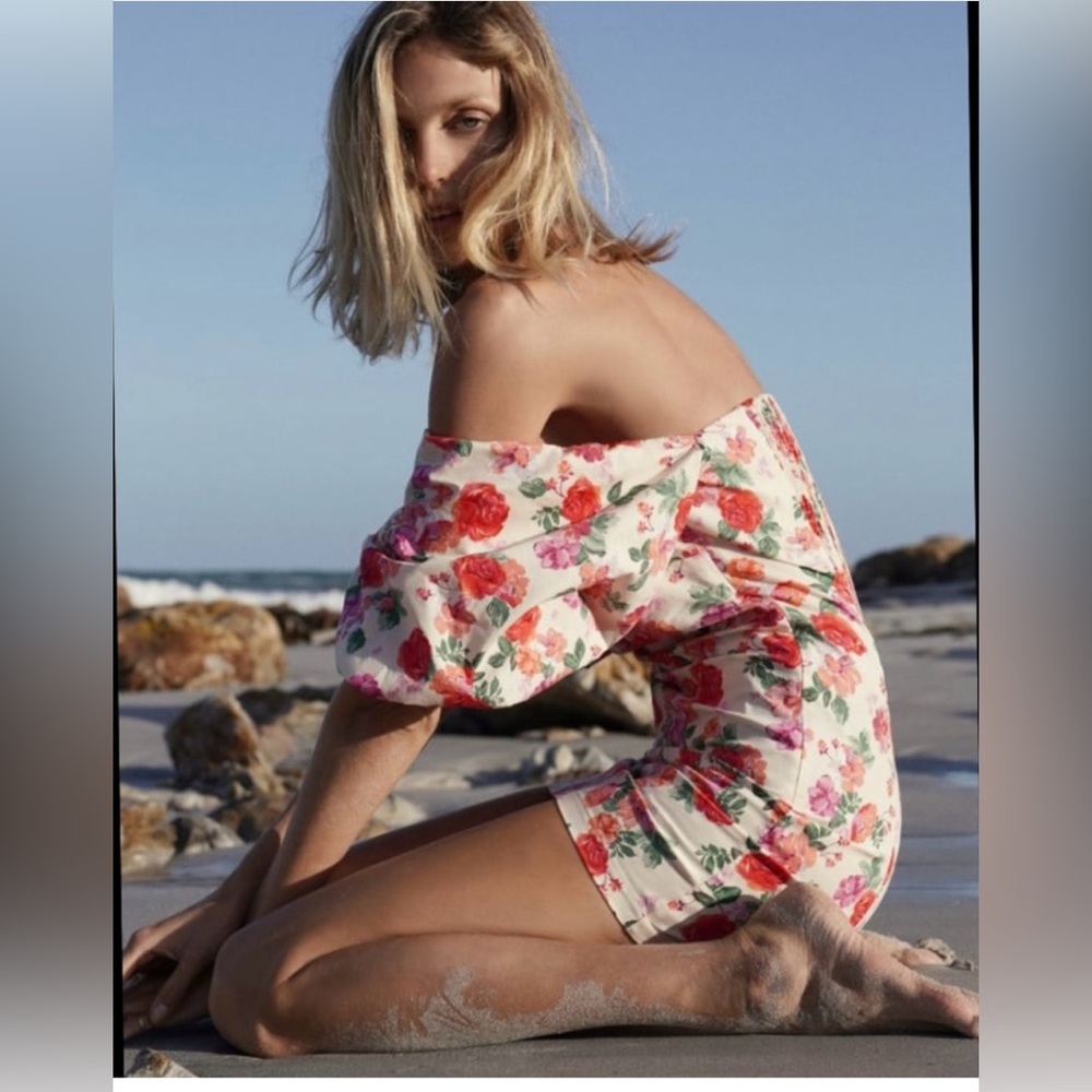 NWT Zara Caroline Floral Puff Sleeve mini dress